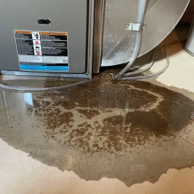 Appliance Leak Cleanup in Poteet, TX